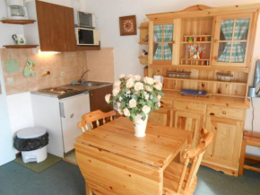 Confortable studio 3 pers avec parking aux Deux Alpes - FR-1-516-84 Les Deux Alpes